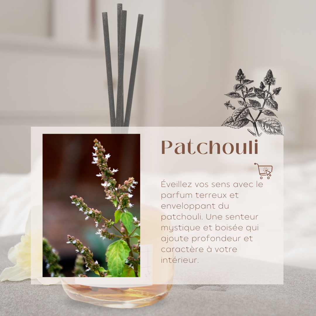 Diffuseur d'ambiance 200ml + Diffuseur Pour Voiture Offert