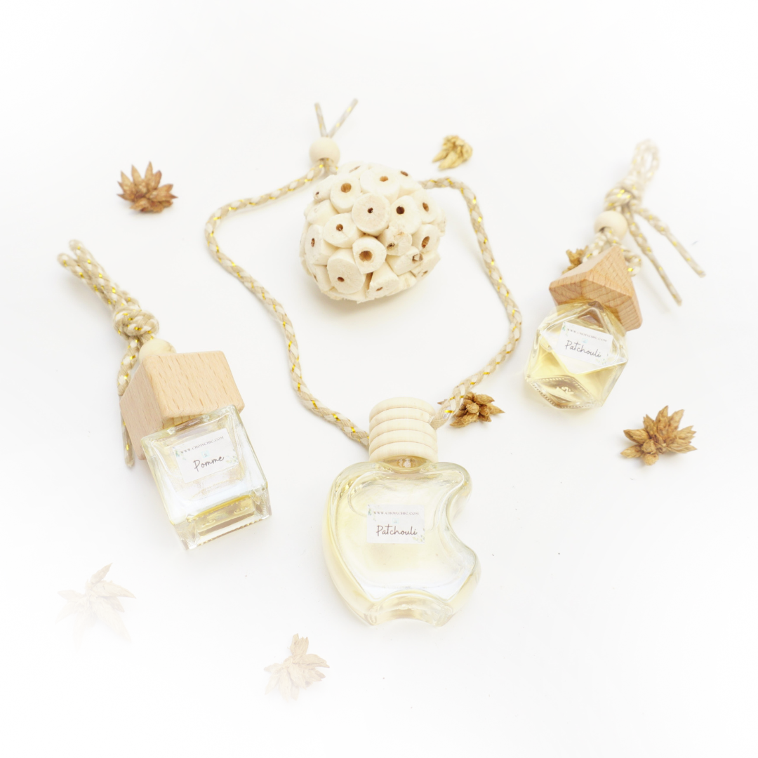 Lot 3 Diffuseurs Voiture